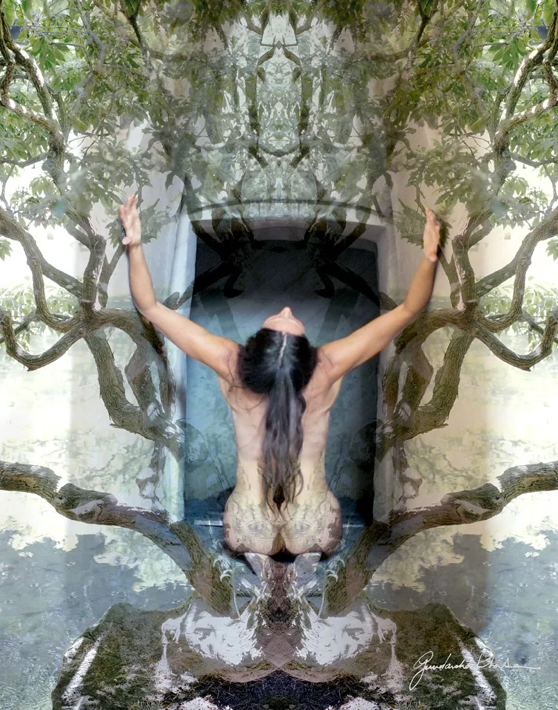Root to Fruit — a mirrored Visual Meditation from the Sacred series